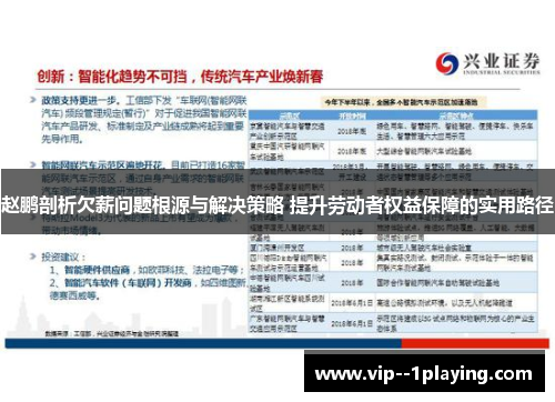 赵鹏剖析欠薪问题根源与解决策略 提升劳动者权益保障的实用路径